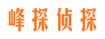 德格市调查公司